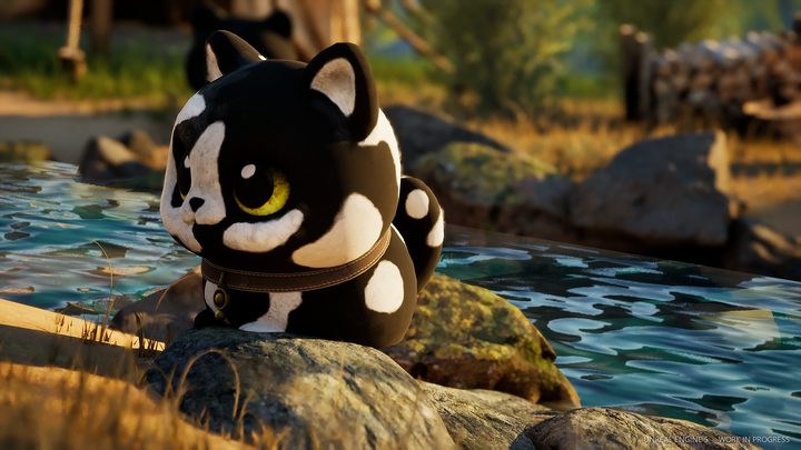Close-up of a black and white Kibu sitting on a rock by the water