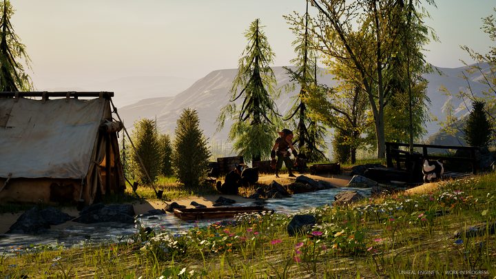 Flowers, a stream and the camp in warm backlight